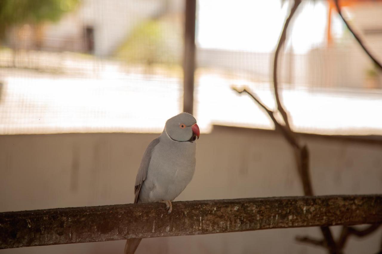 Da Mata Resort Hotel カンピナグランデ エクステリア 写真