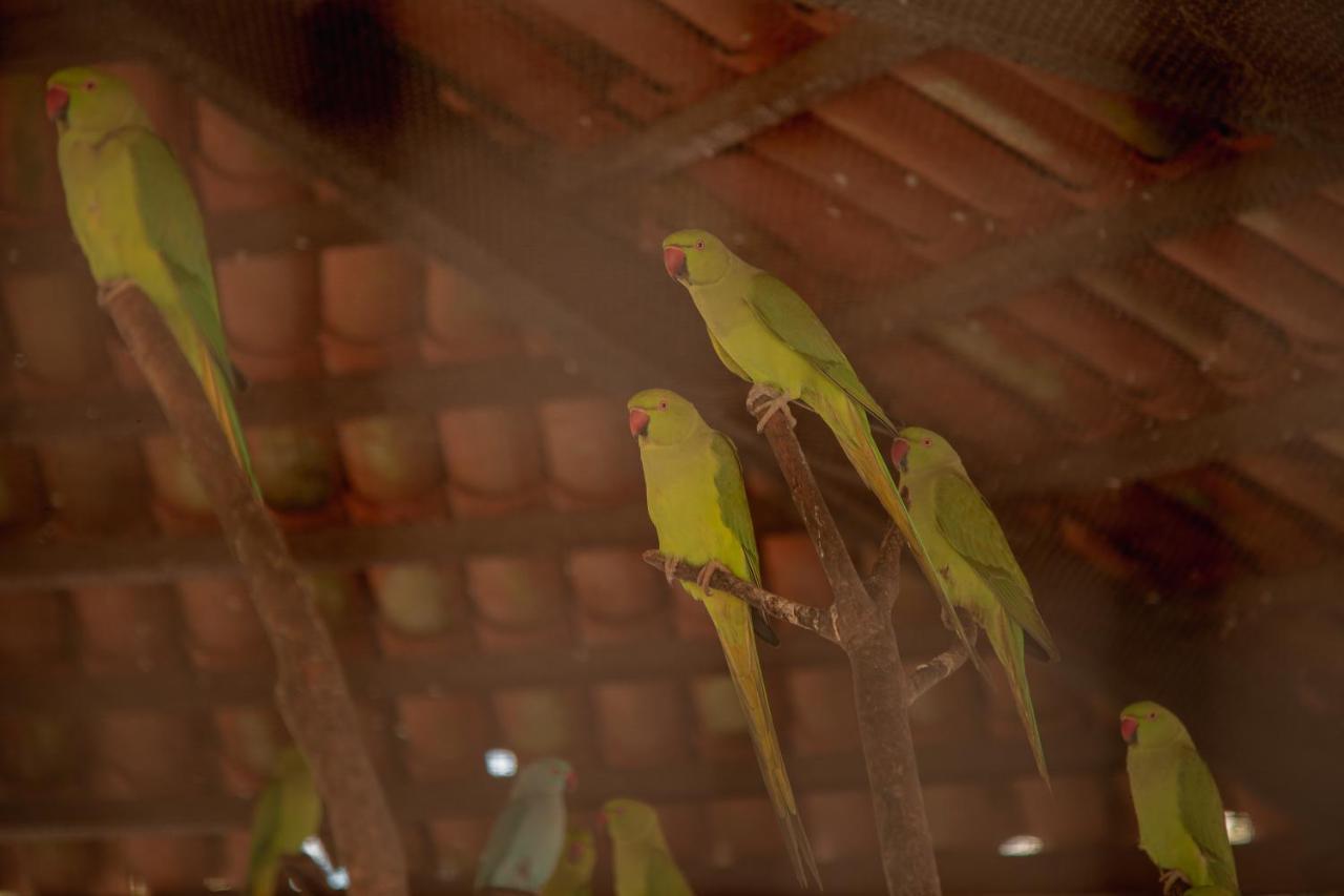 Da Mata Resort Hotel カンピナグランデ エクステリア 写真